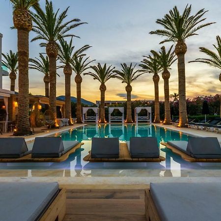 Drossia Palms Hotel And Nisos Beach Suites Malia Exterior foto
